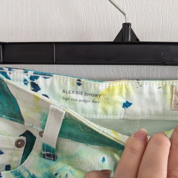 Adriano Goldschmied (AG) NWT Alexxis Short Sz 30R - Picture 3 of 6